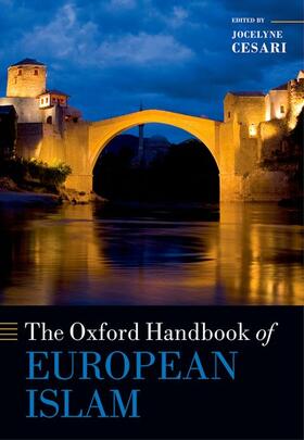 Cesari | OXFORD HANDBK OF EUROPEAN ISLA | Buch | 978-0-19-960797-6 | sack.de