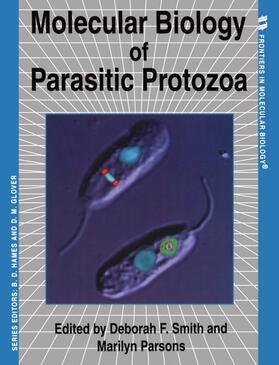 Smith / Parsons | Molecular Biology of Parasitic Protozoa | Buch | 978-0-19-963601-3 | sack.de