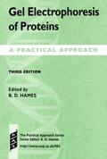 Hames / Rickwood |  Gel Electrophoresis of Proteins | Buch |  Sack Fachmedien