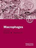 Paulnock |  Macrophages | Buch |  Sack Fachmedien