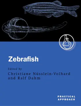 Nusslein-Volhard / Dahm |  Zebrafish | Buch |  Sack Fachmedien