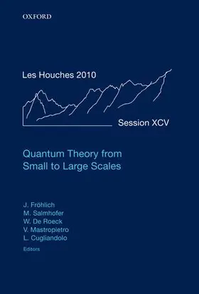 Frohlich / Salmhofer / Mastropietro |  Quantum Theory from Small to Large Scales | Buch |  Sack Fachmedien