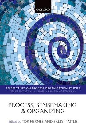 Hernes / Maitlis | Process, Sensemaking, and Organizing | Buch | 978-0-19-965556-4 | sack.de
