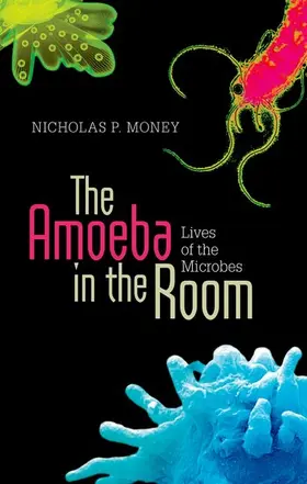 Money |  The Amoeba in the Room | Buch |  Sack Fachmedien
