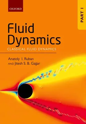 Ruban / Gajjar |  FLUID DYNAMICS VOL1 | Buch |  Sack Fachmedien