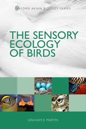 Martin |  The Sensory Ecology of Birds | Buch |  Sack Fachmedien