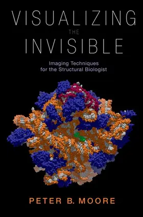 Moore |  Visualizing the Invisible | Buch |  Sack Fachmedien