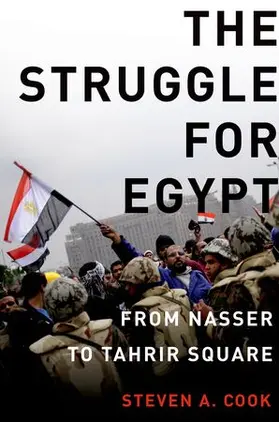 Cook |  The Struggle for Egypt | Buch |  Sack Fachmedien
