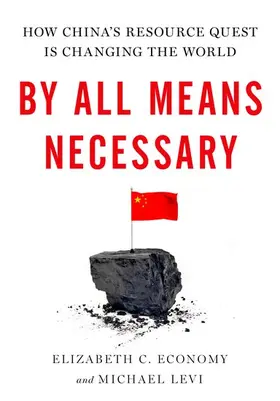 Economy / Levi |  By All Means Necessary | Buch |  Sack Fachmedien