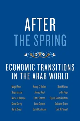 Amin / Assaad / al-Baharna |  After the Spring | Buch |  Sack Fachmedien