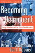 Garabedian / Gibbons |  Becoming Delinquent | Buch |  Sack Fachmedien