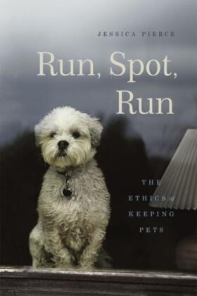Pierce |  Run, Spot, Run | Buch |  Sack Fachmedien