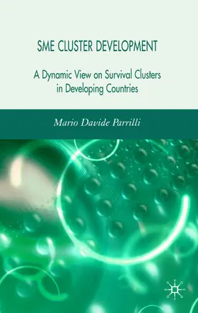 Parrilli |  Sme Cluster Development | Buch |  Sack Fachmedien
