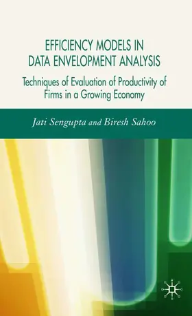 Sengupta / Sahoo |  Efficiency Models in Data Envelopment Analysis | Buch |  Sack Fachmedien