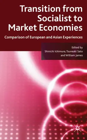 Ichimura / Sato / James |  Transition from Socialist to Market Economies | Buch |  Sack Fachmedien