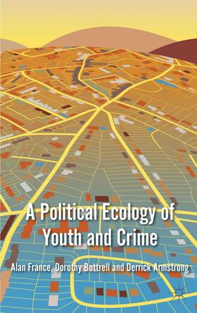 France / Bottrell / Armstrong | A Political Ecology of Youth and Crime | Buch | 978-0-230-28053-3 | sack.de