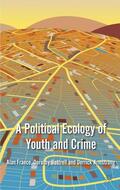 France / Bottrell / Armstrong |  A Political Ecology of Youth and Crime | Buch |  Sack Fachmedien