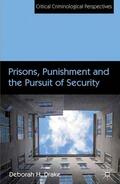 Drake |  Prisons, Punishment and the Pursuit of Security | Buch |  Sack Fachmedien