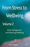Cooper |  From Stress to Wellbeing, Volume 2 | Buch |  Sack Fachmedien
