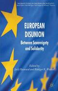 Hayward / Wurzel |  European Disunion | Buch |  Sack Fachmedien