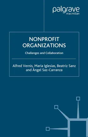 Vernis / Iglesias / Sanz |  Nonprofit Organizations | eBook | Sack Fachmedien