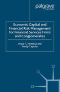 Porteous / Tapadar |  Economic Capital and Financial Risk Management for Financial Services Firms and Conglomerates | eBook | Sack Fachmedien