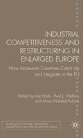 Welfens / Hoshi / Wziatek-Kubiak |  Industrial Competitiveness and Restructuring in Enlarged Europe | Buch |  Sack Fachmedien