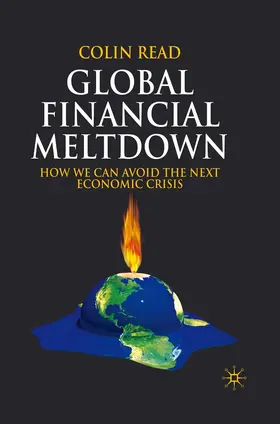 Read |  Global Financial Meltdown | eBook | Sack Fachmedien