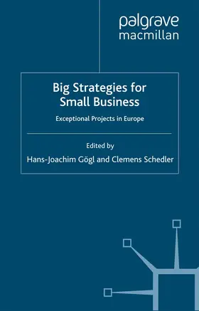 Gögl / Schedler |  Big Strategies for Small Business | eBook | Sack Fachmedien