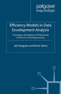 Sengupta / Sahoo |  Efficiency Models in Data Envelopment Analysis | eBook | Sack Fachmedien