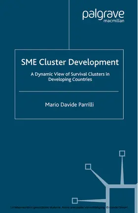 Parrilli |  SME Cluster Development | eBook | Sack Fachmedien