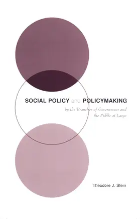 Stein | Social Policy & Policymaking by the Branches of Government and the Public-at-Large | Buch | 978-0-231-11682-4 | www.sack.de