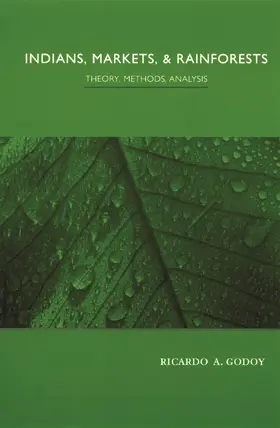 Godoy |  Indians, Markets, & Rainforests - Theory, Methods,  Analysis | Buch |  Sack Fachmedien
