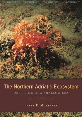 Mckinney / McKinney | The Northern Adriatic Ecosystem - Deep Time in a Shallow Sea | Buch | 978-0-231-13242-8 | sack.de