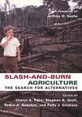 Palm / Vosti / Sanchez |  Slash and Burn Agriculture - The Search for Alternatives | Buch |  Sack Fachmedien