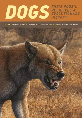 Wang / Tedford | Dogs - Their Fossil Relatives and Evolutionary History | Buch | 978-0-231-13528-3 | www.sack.de
