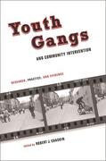 Chaskin |  Youth Gangs and Community Intervention - Research,  Practice, and Evidence | Buch |  Sack Fachmedien