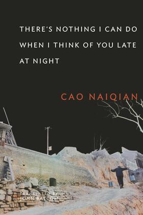 Cao |  There&#8242;s Nothing I Can Do When I Think of You Late at Night | Buch |  Sack Fachmedien