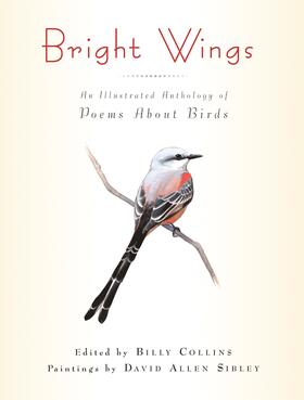 Collins | Bright Wings | Buch | 978-0-231-15087-3 | sack.de