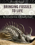 Prothero |  Bringing Fossils to Life | Buch |  Sack Fachmedien