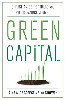 de Perthuis / Jouvet | Green Capital - A New Perspective on Growth | Buch | 978-0-231-17140-3 | sack.de