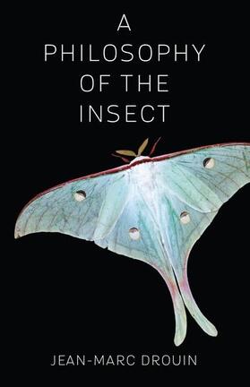Drouin | A Philosophy of the Insect | Buch | 978-0-231-17578-4 | sack.de