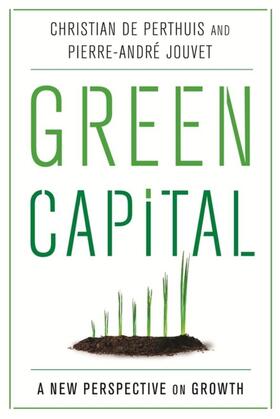 de Perthuis / Jouvet | Green Capital | E-Book | sack.de