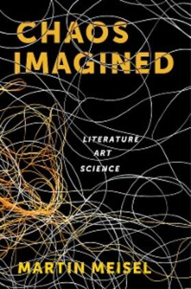 Meisel |  Chaos Imagined | eBook | Sack Fachmedien
