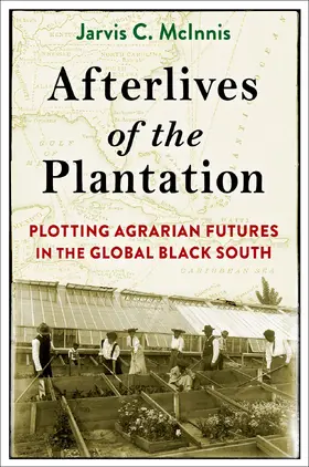 McInnis |  Afterlives of the Plantation | eBook | Sack Fachmedien