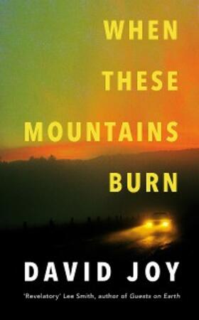 Joy |  When These Mountains Burn | eBook | Sack Fachmedien