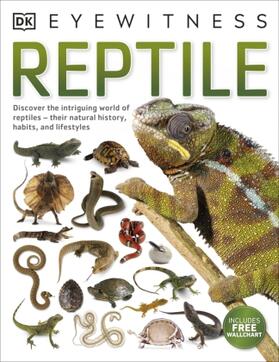 DK |  Reptile | Buch |  Sack Fachmedien