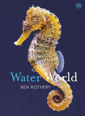 Rothery |  Water World | Buch |  Sack Fachmedien