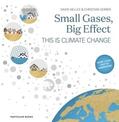 Nelles / Serrer |  Small Gases, Big Effect | Buch |  Sack Fachmedien