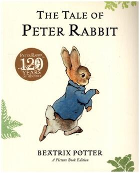 Potter | The Tale of Peter Rabbit Picture Book | Buch | 978-0-241-52357-5 | www.sack.de